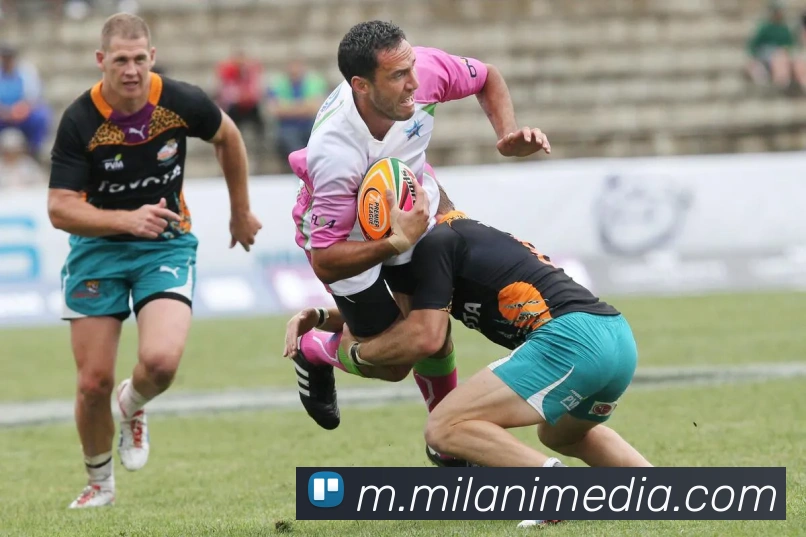 米兰体育APP 封面图